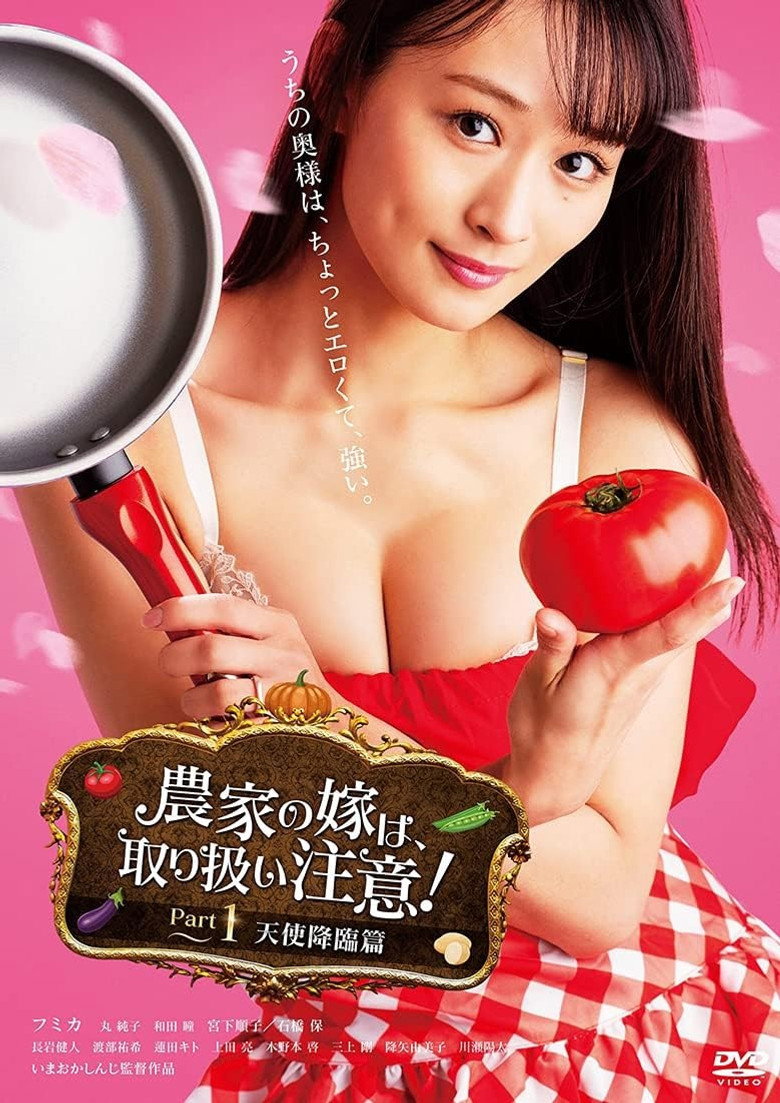 小心农妇:天使降临海报